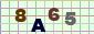 This is a captcha-picture. It is used to prevent mass-access by robots. (see: www.captcha.net)